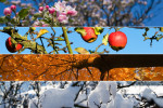 Four season. All used photos belong to me.